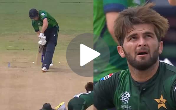 [Watch] Shaheen Afridi Sends Back Tector With A Mesmerizing Inswinging Yorker